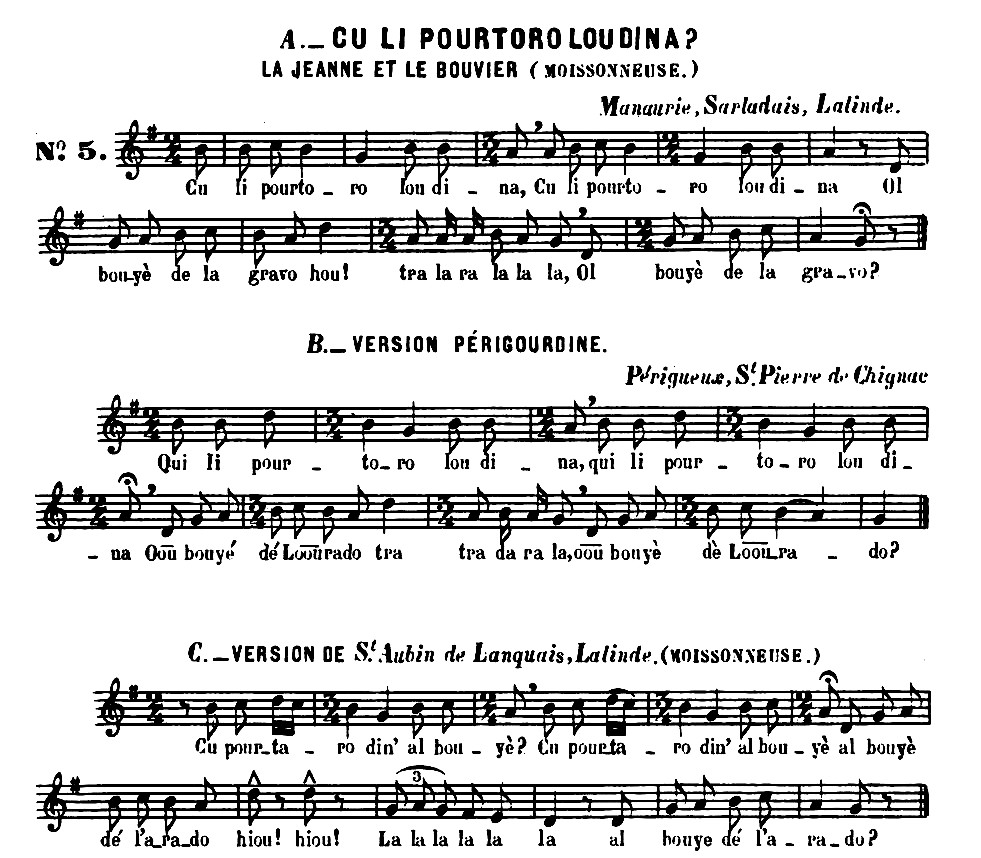Fichier:CuLiPourtoroLoudina.jpg