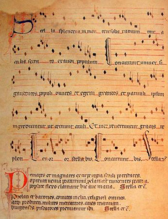 Fichier:Stella splendens.jpg